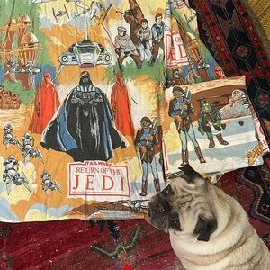 1983 Vintage Return of the Jedi Sheets